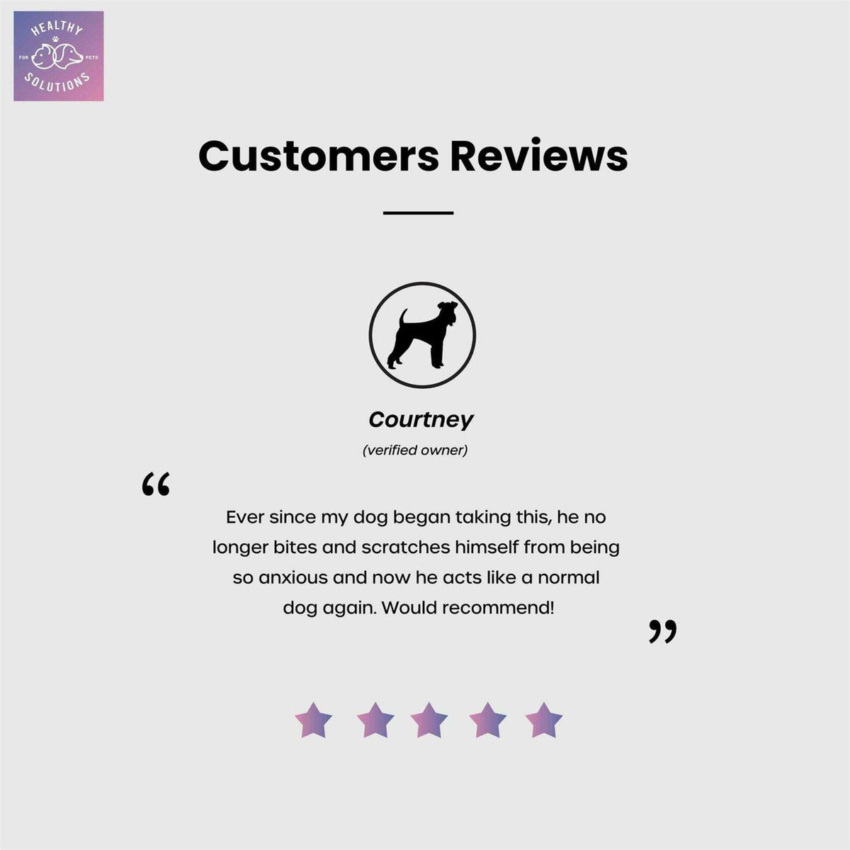 Dog Calming Aid Soft Chew Supplement with Ginger and Melatonin A12431
