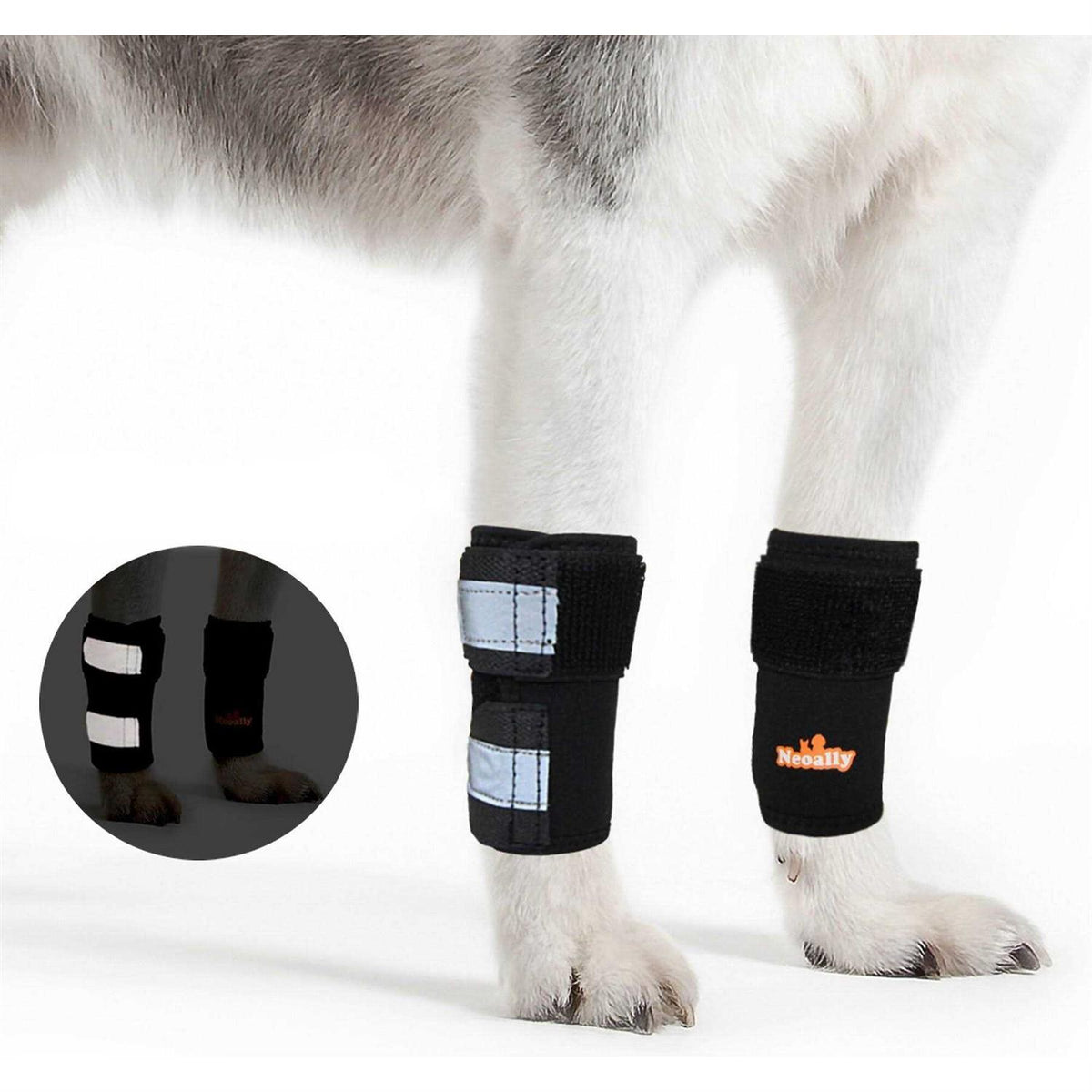 Dog Front Leg Braces and Support V96894