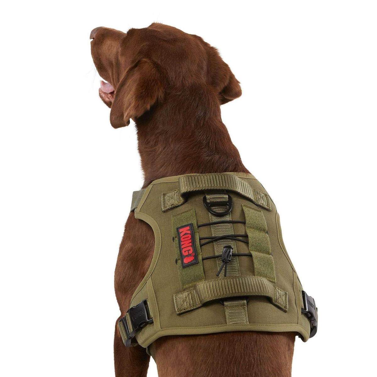 Double Handle Dog Harness H7463