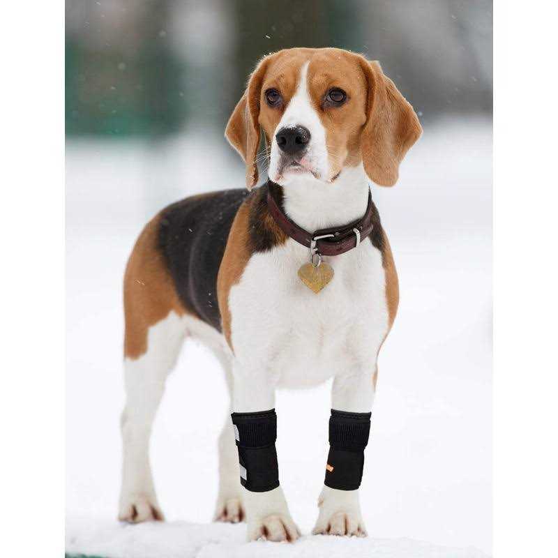 Dog Front Leg Braces and Support V96894