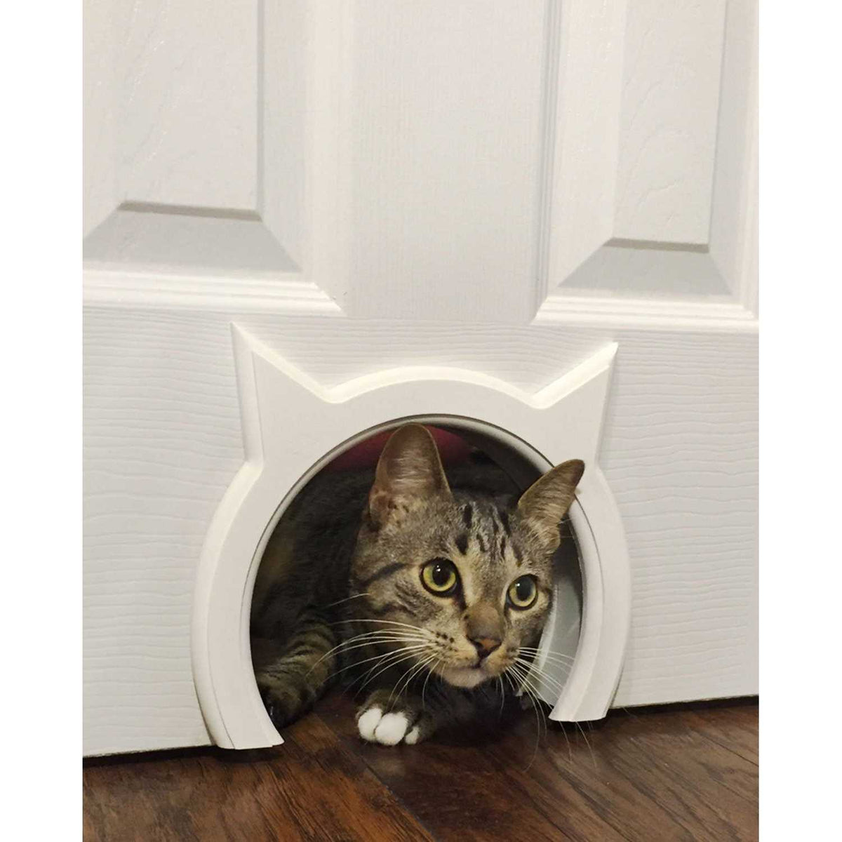 Interior Cat Door for Cats up to 21 lbs K874