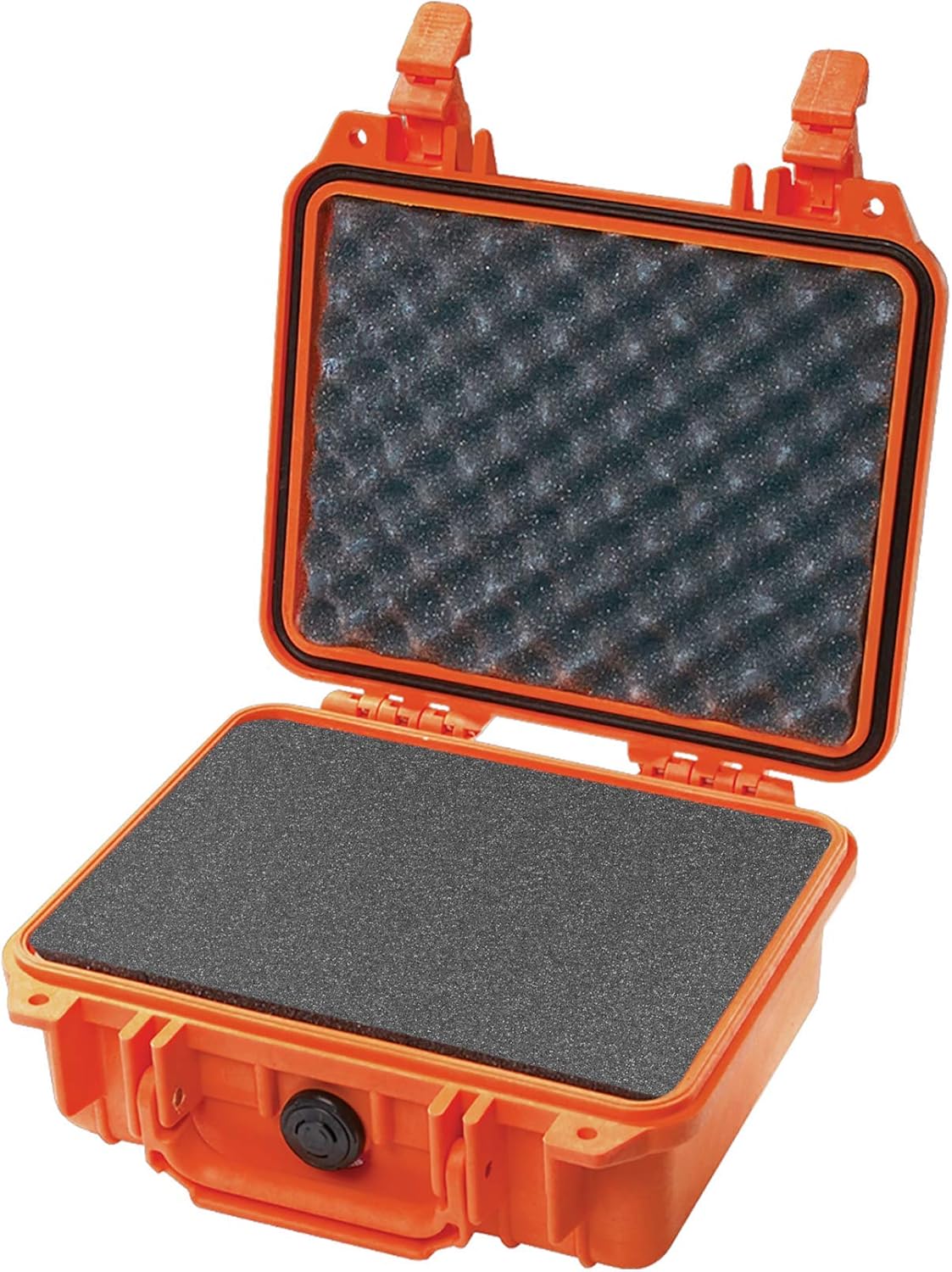 1200 Case With Foam (Black) L9554