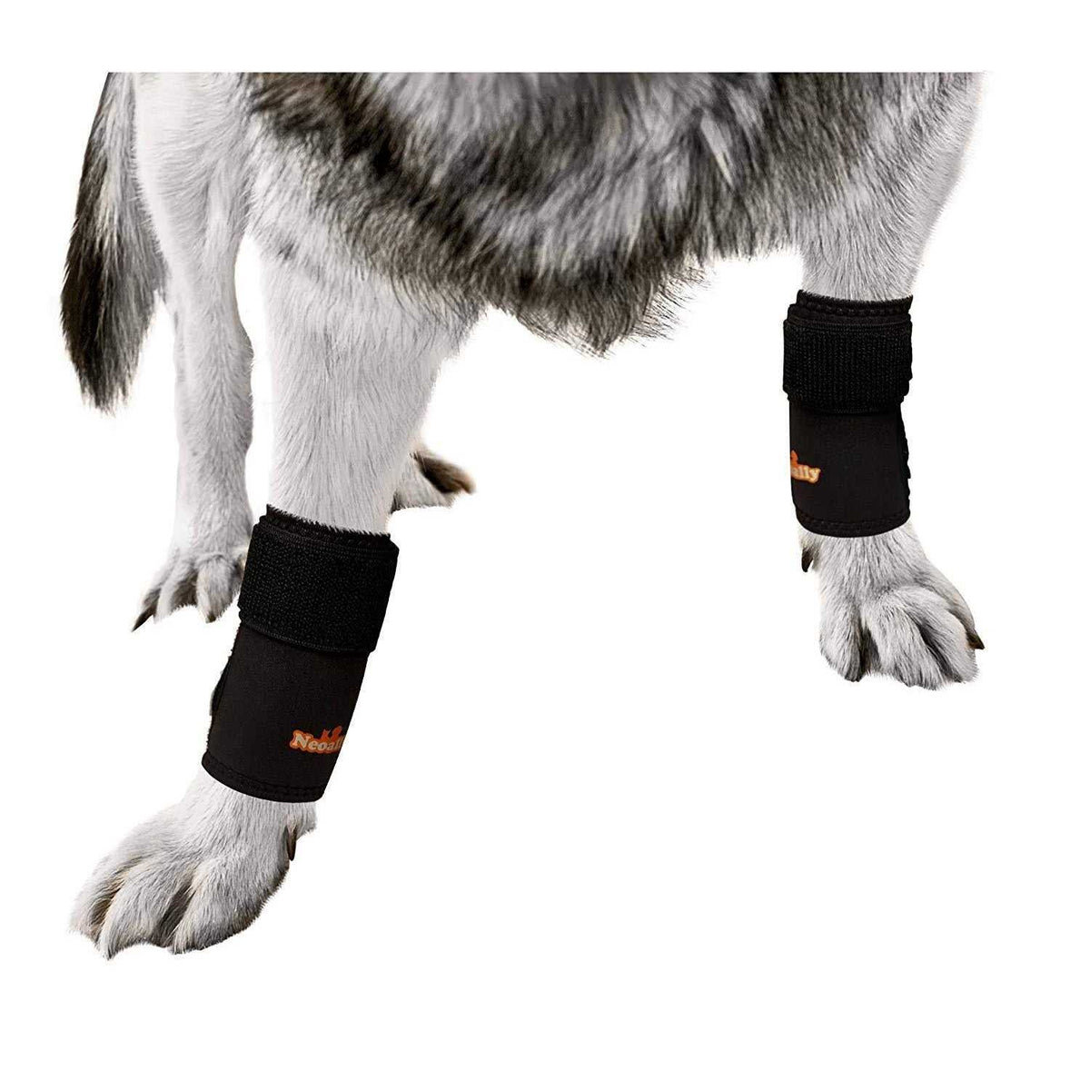 Dog Front Leg Braces and Support V96894