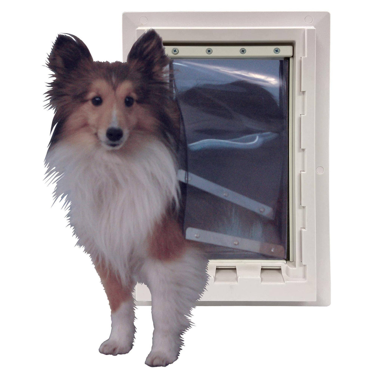 Medium Wall Entry Pet Door Q72327