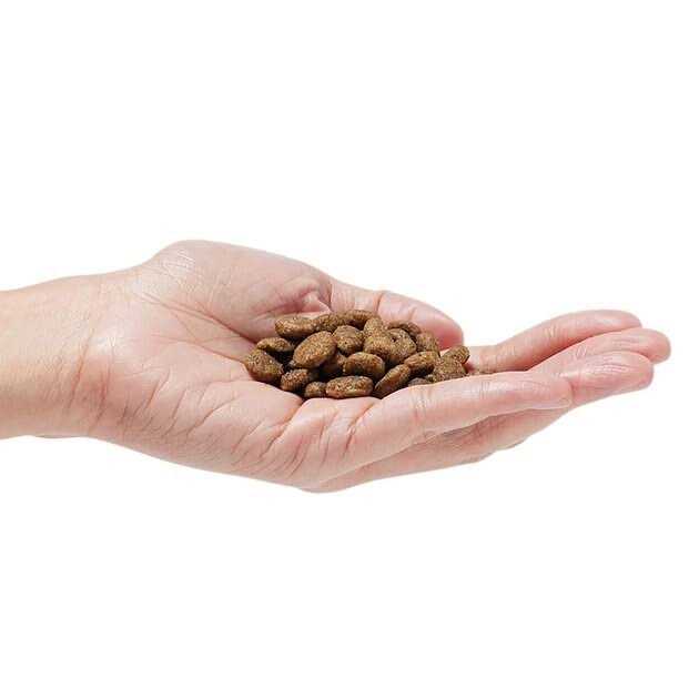 Grain-Free Dog Food R215413