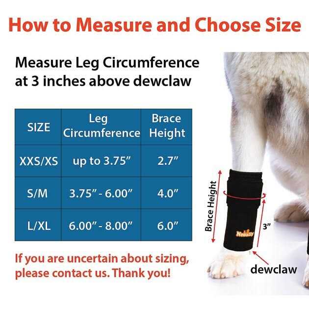 Dog Front Leg Braces and Support V96894