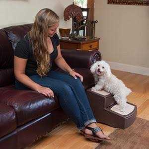 Pet Stairs A99933