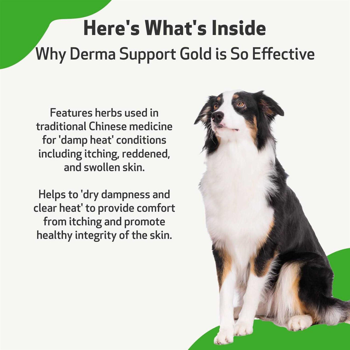 Natural Support for Healthy Coat in Dogs J559
