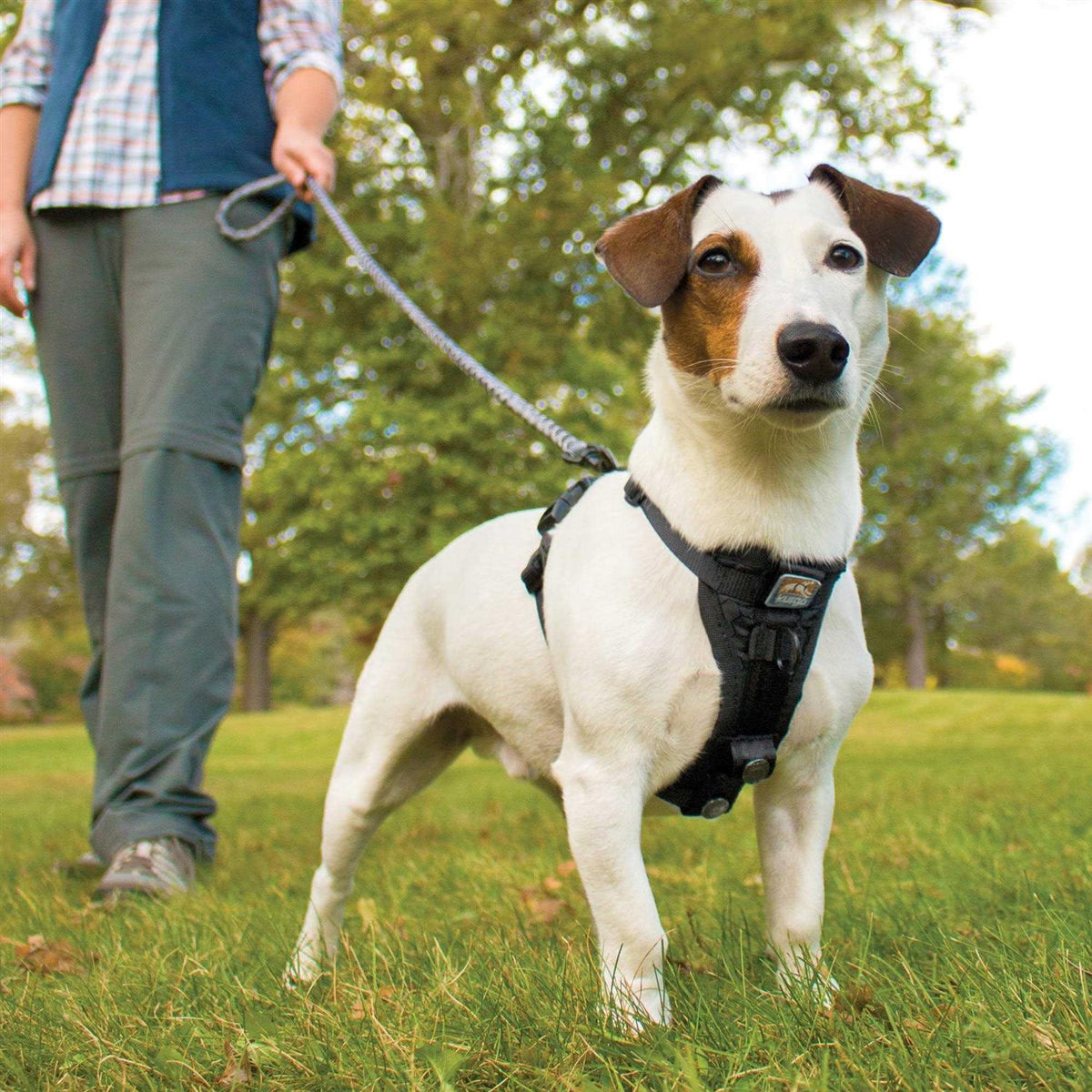 Tru Fit Smart Harness R5871